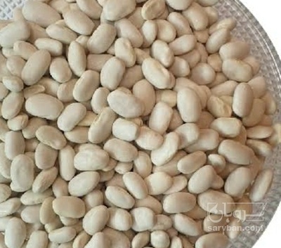 فروش لوبیا سفید