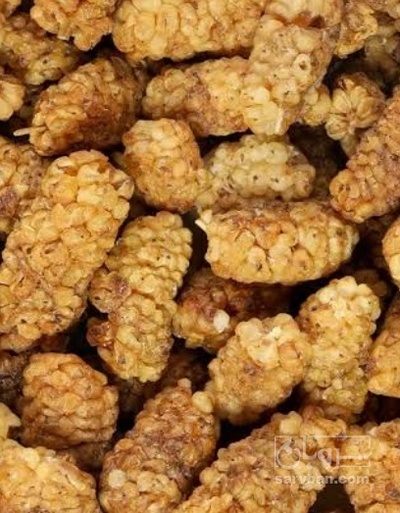 فروش توت خشک