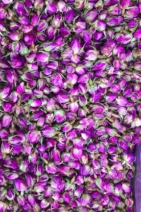 فروش غنچه گل محمدی (گیاه‌ دارویی)