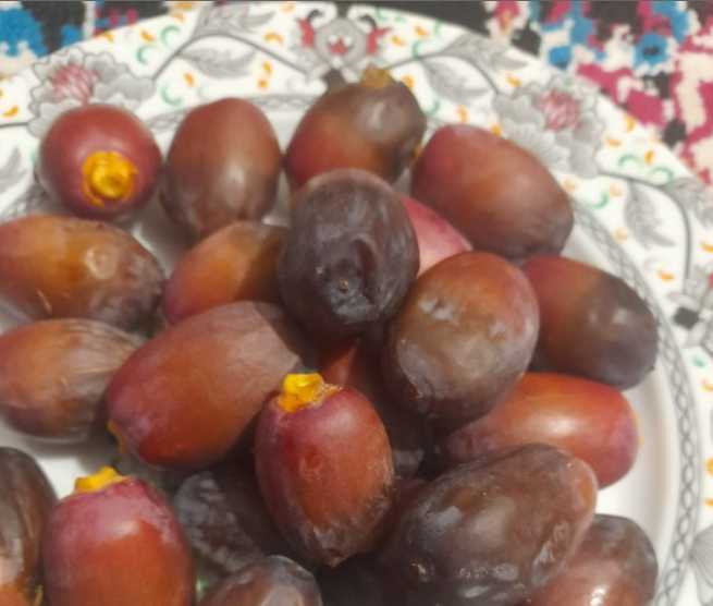 فروش خرما
