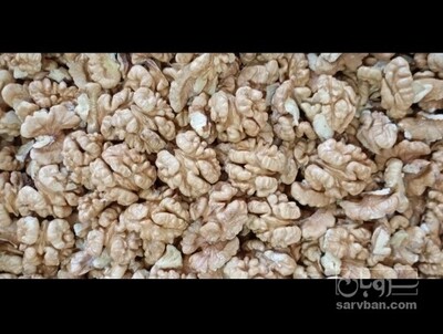 فروش گردو