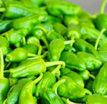 فروش فلفل محلی