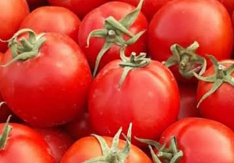 فروش گوجه فرنگی