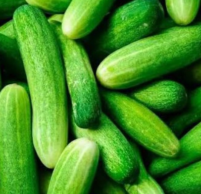 فروش خیار خیار شوری