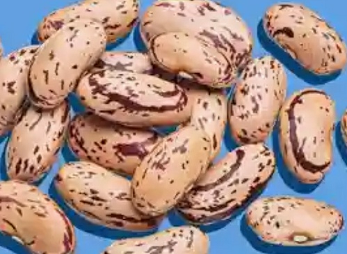 فروش لوبیا چیتی