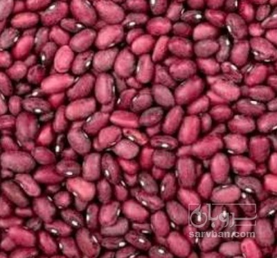فروش لوبیا قرمز