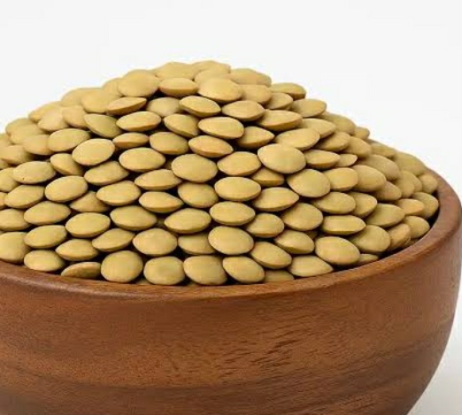 فروش عدس