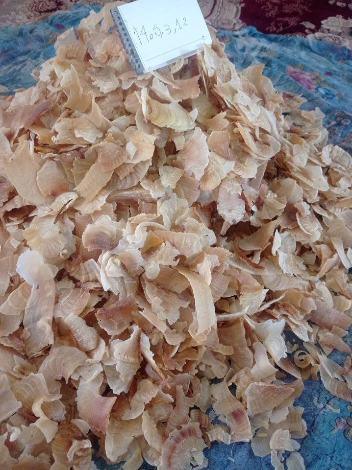 فروش کتیرا (گیاه‌ دارویی)