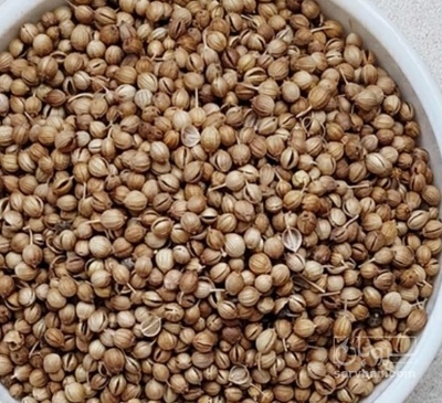 فروش تخم گشنیز (گیاه‌ دارویی)