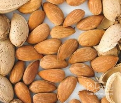 فروش بادام سنگی