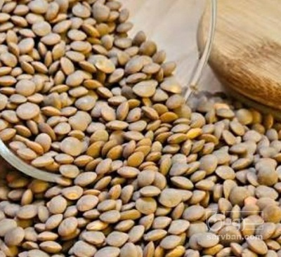 فروش عدس