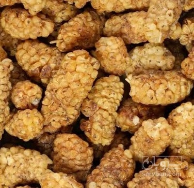 فروش توت خشک