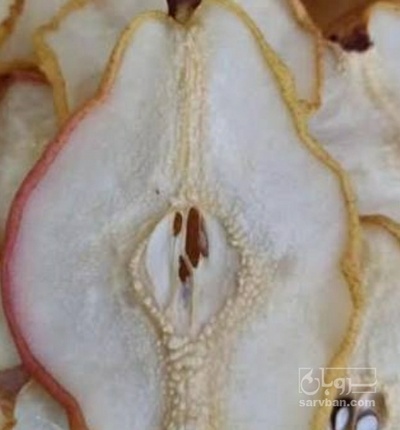 فروش گلابی خشک