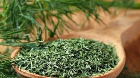 فروش شوید خشک (گیاه‌ دارویی)