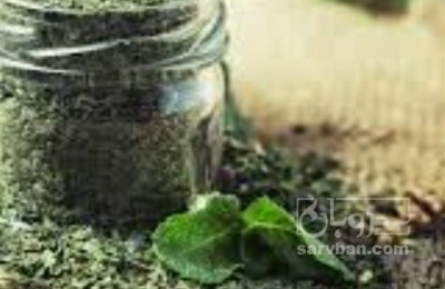 فروش شاه تره خشک
