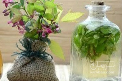 فروش عرق خارخاسک