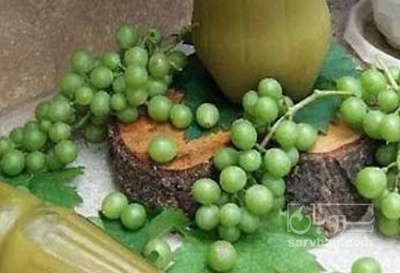 فروش آبغوره