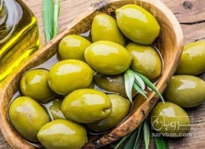 فروش زیتون