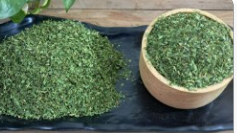 فروش گشنیز