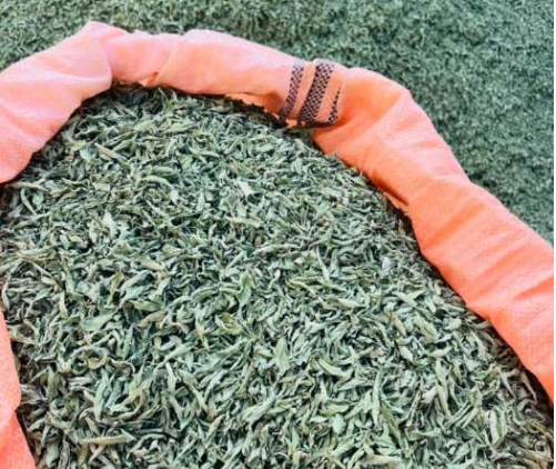 فروش نعناع خشک (گیاه‌ دارویی)
