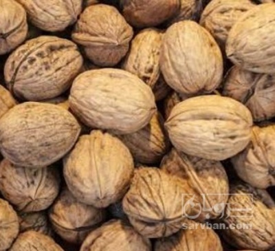 فروش گردو