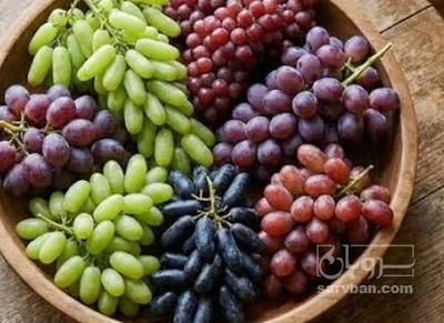 فروش انگور
