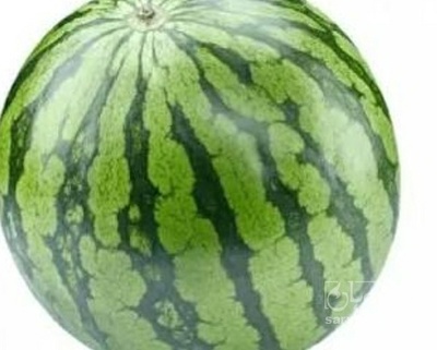 فروش هندوانه