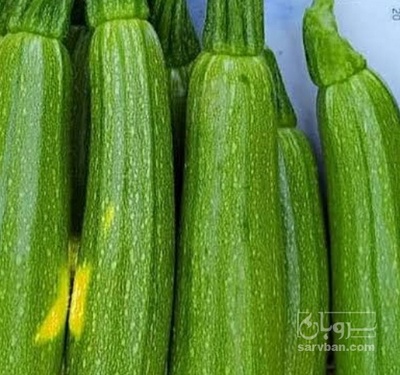 فروش کدو
