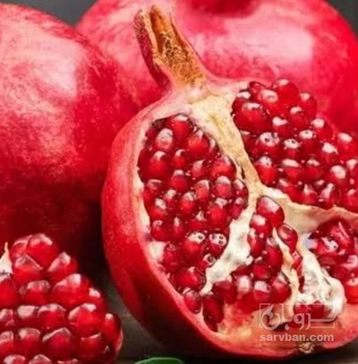 فروش انار