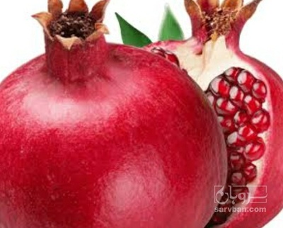 فروش انار