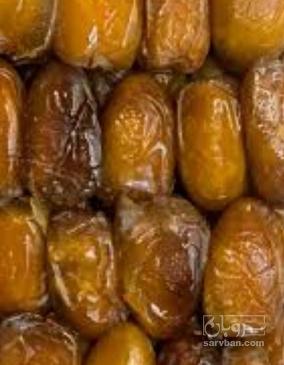فروش رطب شاهانی