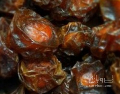 فروش آلو خشک