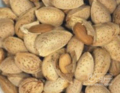 فروش بادام