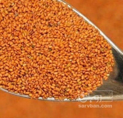 فروش خاکشیر (گیاه‌ دارویی)