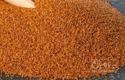 فروش خاکشیر (گیاه‌ دارویی)