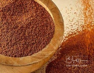فروش خاکشیر (گیاه‌ دارویی)