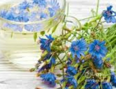 فروش عرق کاسنی