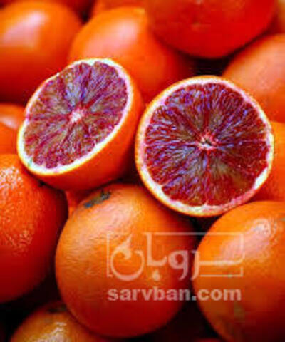 فروش پرتقال توسرخ