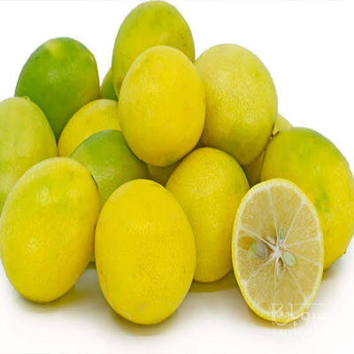 فروش لیمو ترش