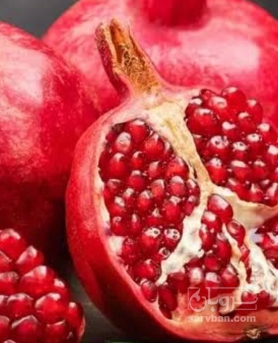 فروش انار