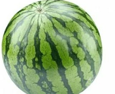 فروش هندوانه