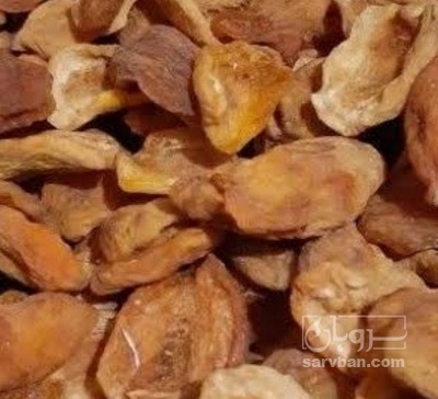 فروش برگه قیسی