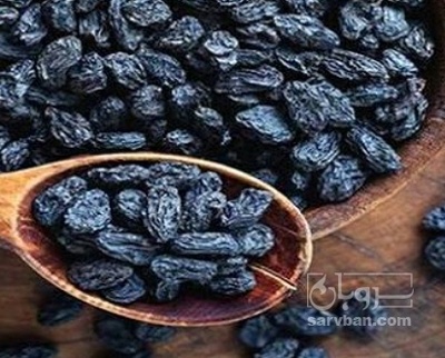 فروش مویز