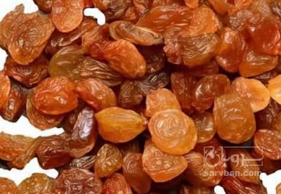 فروش کشمش افتابی