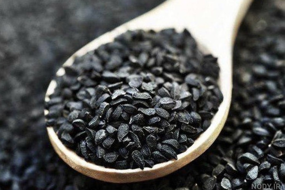 فروش  سیاه دانه