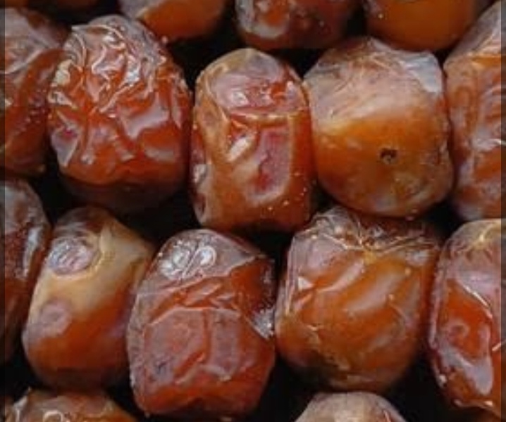 فروش رطب