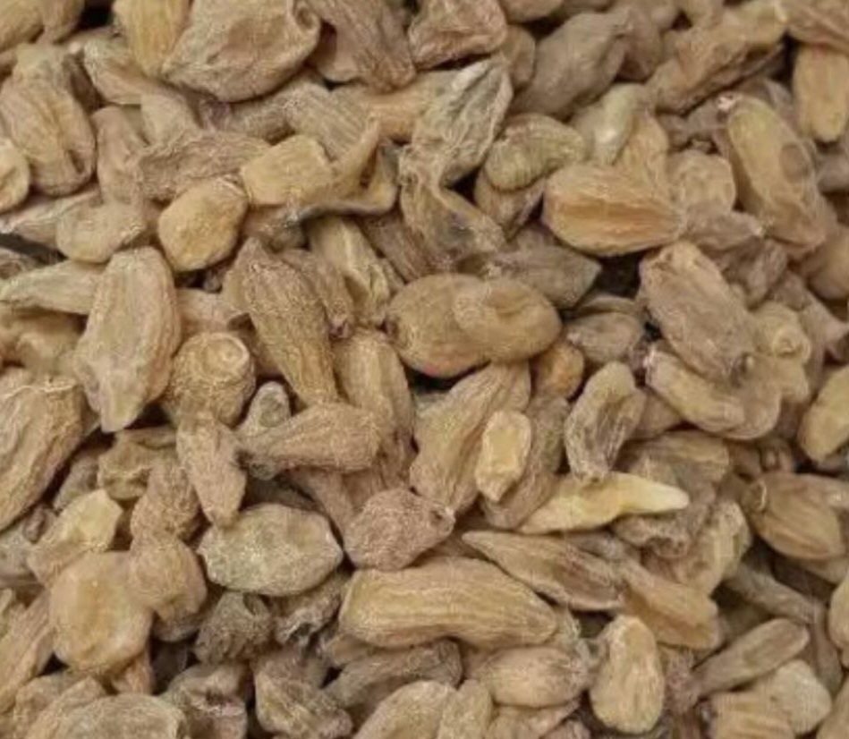 فروش ثعلب (گیاه‌ دارویی)