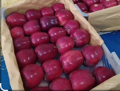 فروش سیب