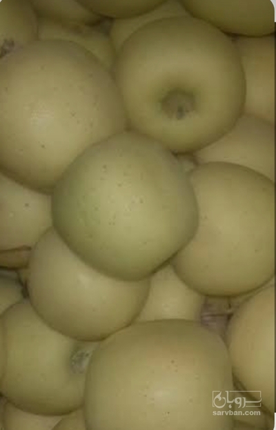 فروش سیب زرد