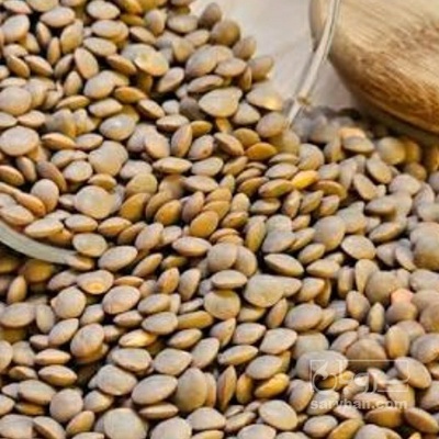 فروش عدس